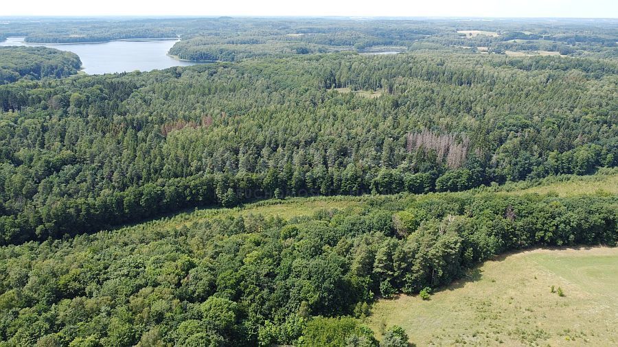 Unikatowe działki rolno-budowlane nad j. Ińsko (15)