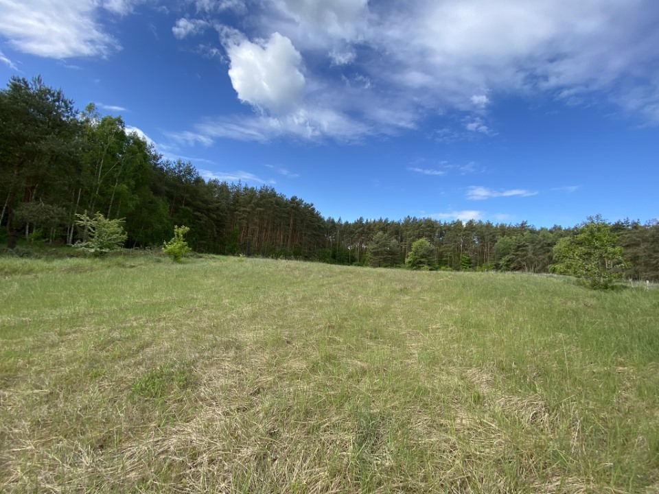 Działki pod lasem (1)