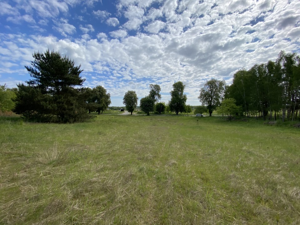 Działki pod lasem (3)