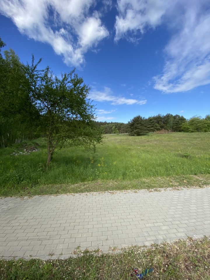 Działki pod lasem (5)