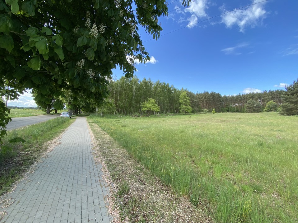 Działki pod lasem (6)