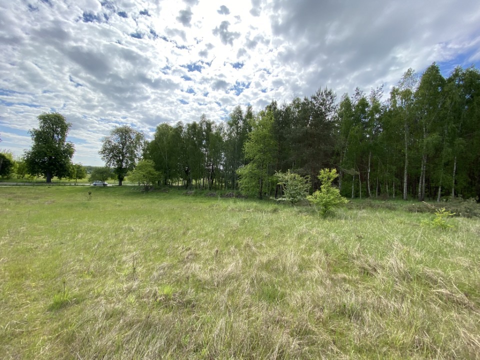 Działki pod lasem (8)