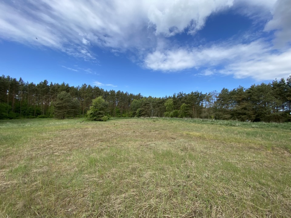 Działki pod lasem (9)