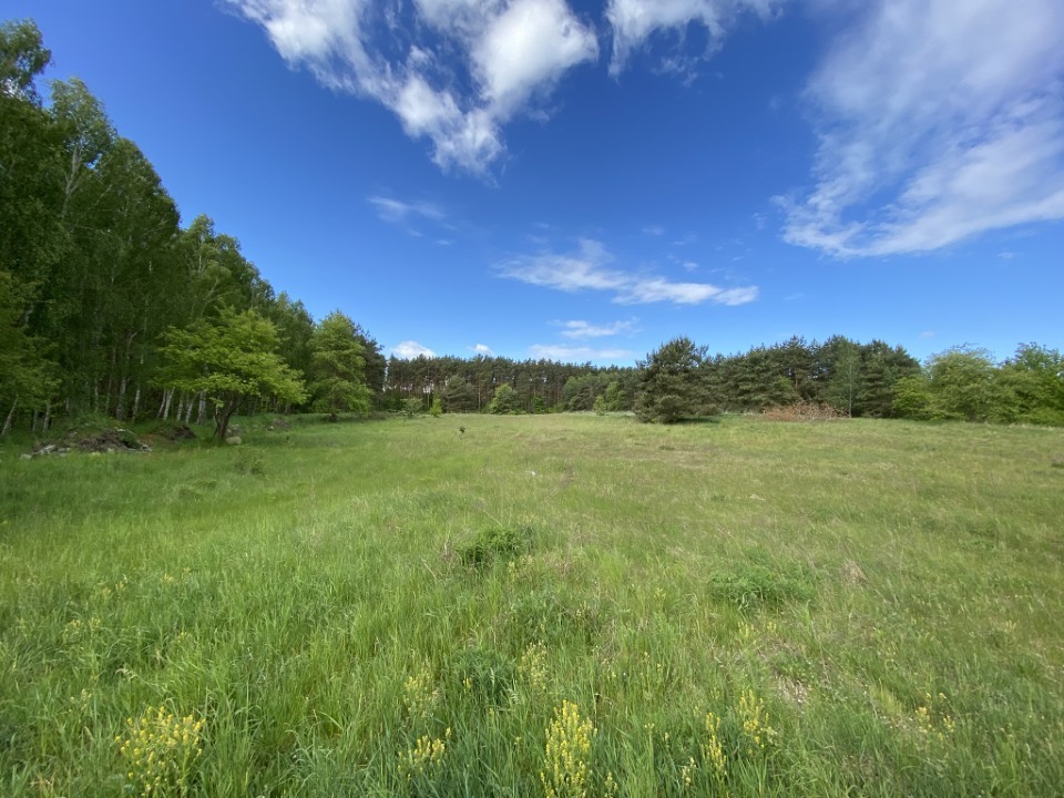 Działki pod lasem (1)