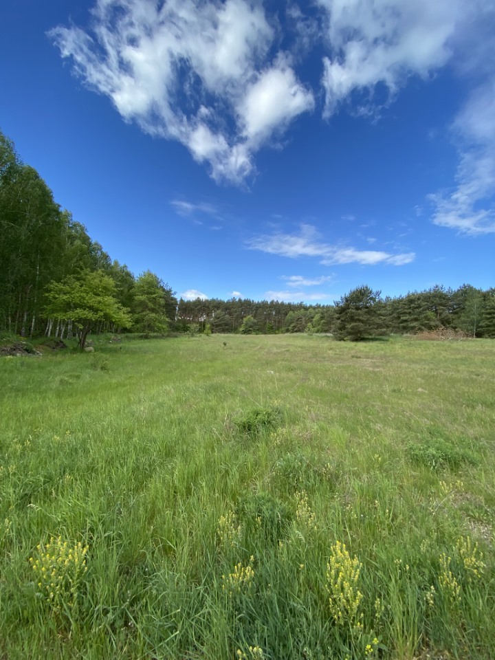 Działki pod lasem (5)