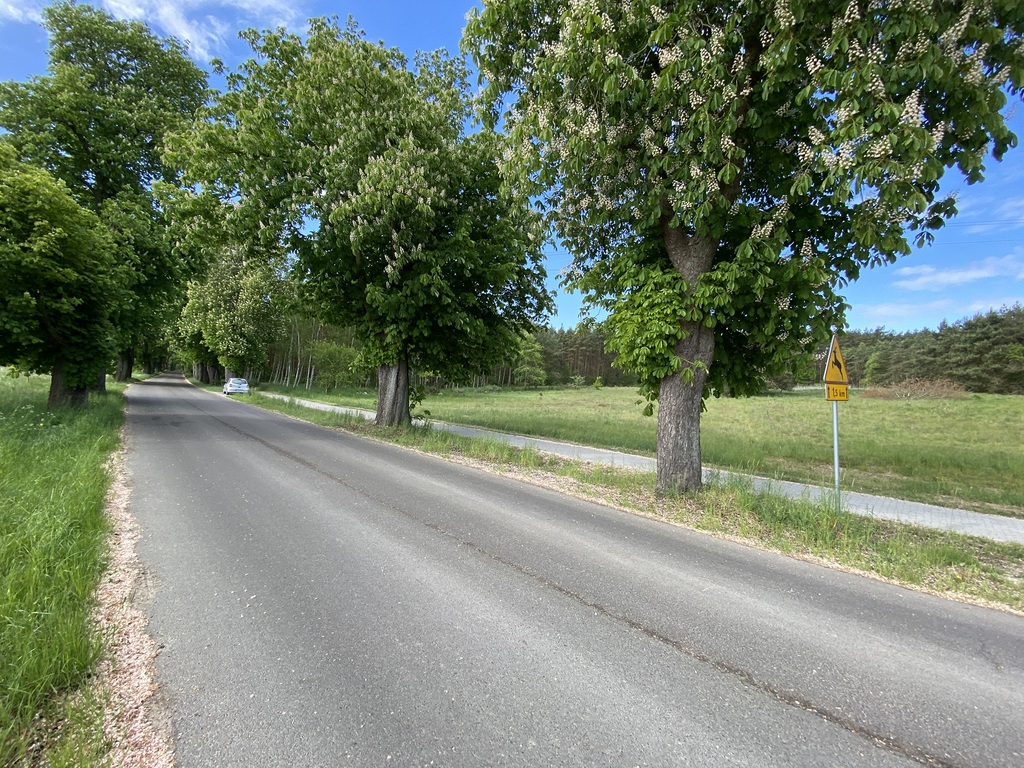 Działki pod lasem (7)