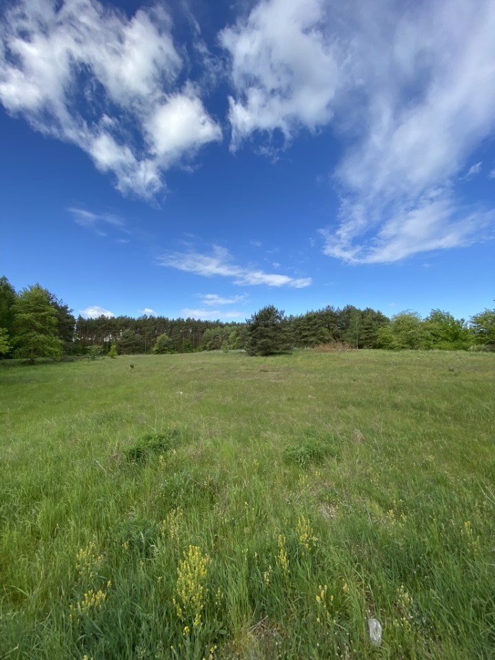 Działki pod lasem (11)