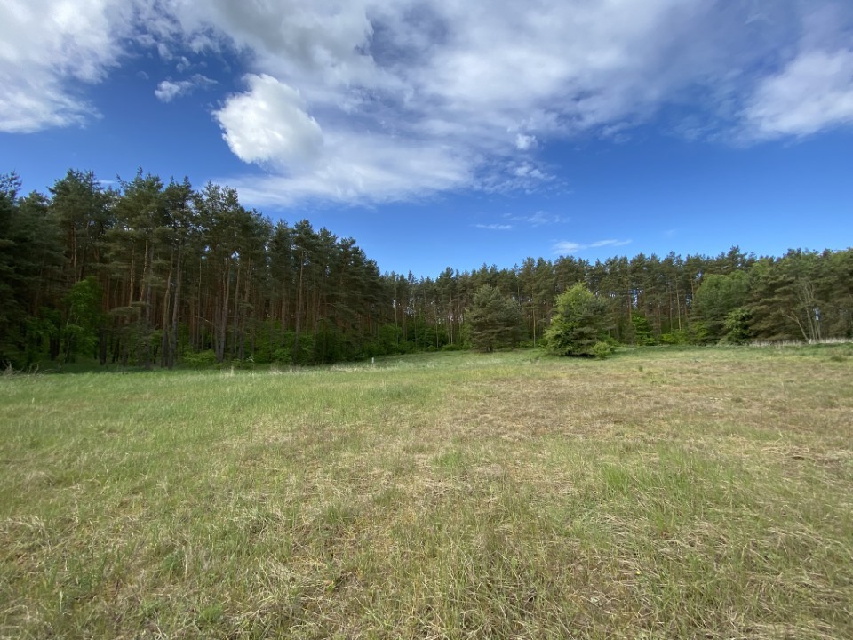 Działki pod lasem (14)