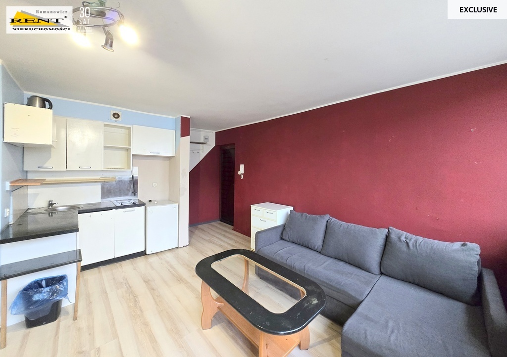 Kawalerka w ścisłym centrum miasta (2)