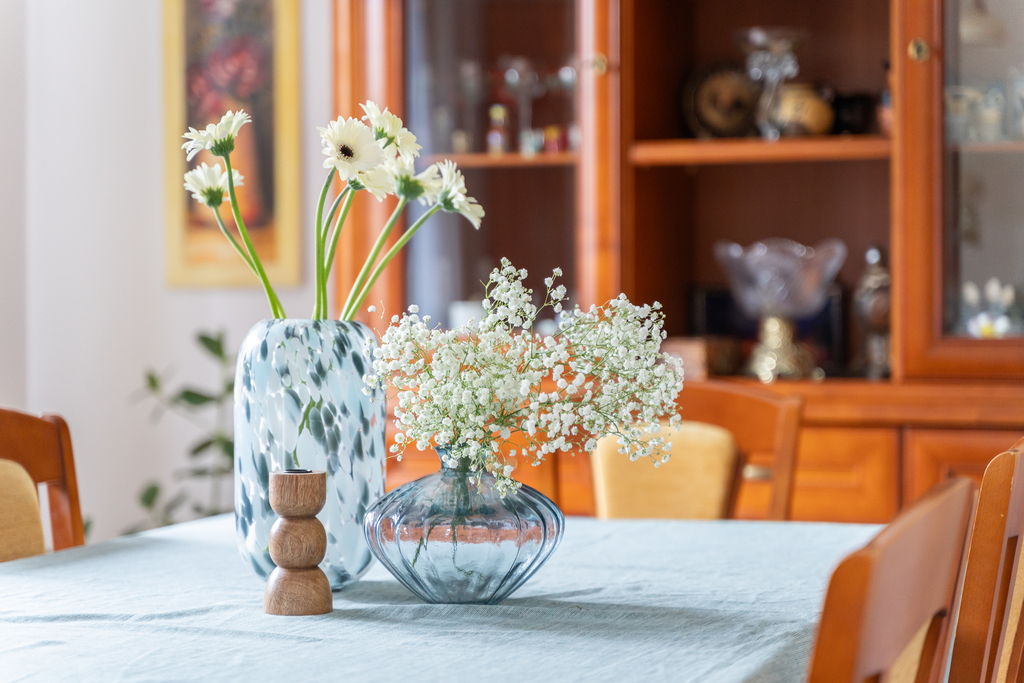 Piękny,rodzinny dom z ogrodem w spokojnej okolicy. (12)