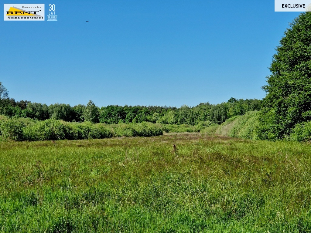 Działka usługowa w Kobylance podziel i sprzedawaj! (5)