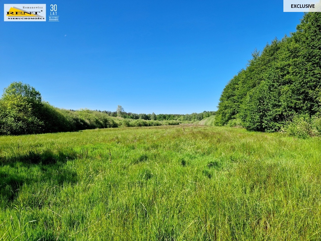 Działka usługowa w Kobylance podziel i sprzedawaj! (6)