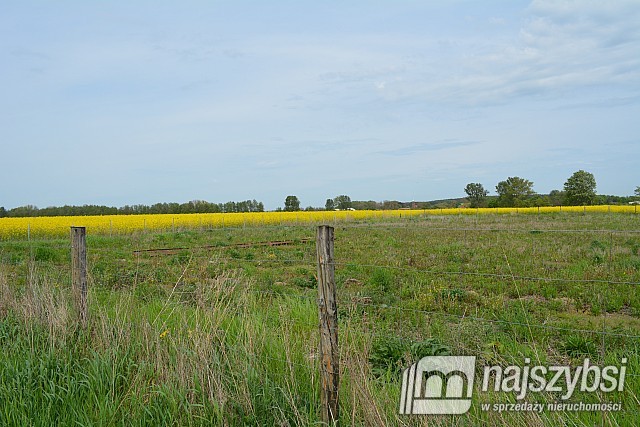 Działka, Pyrzyce Obrzeża (4)