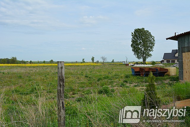 Działka, Pyrzyce Obrzeża (7)