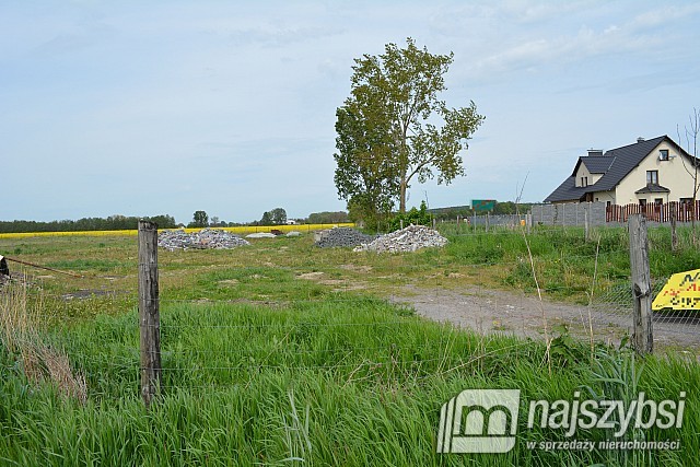 Działka, Pyrzyce Obrzeża (9)