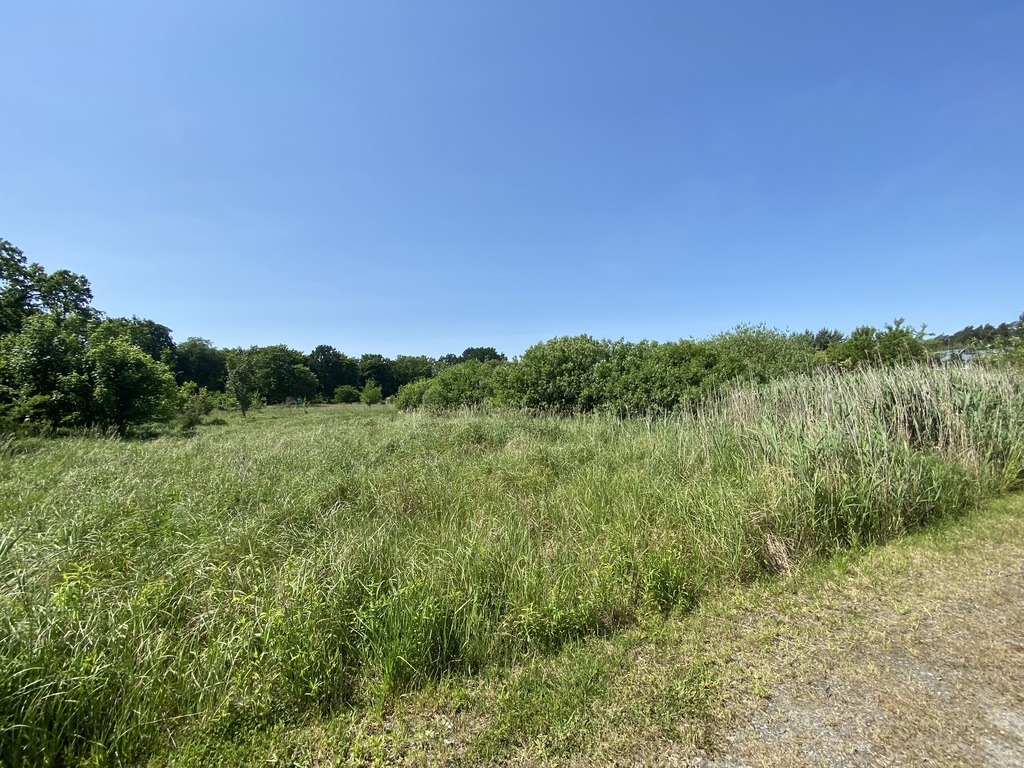 Działka w pobliżu lasu (8)