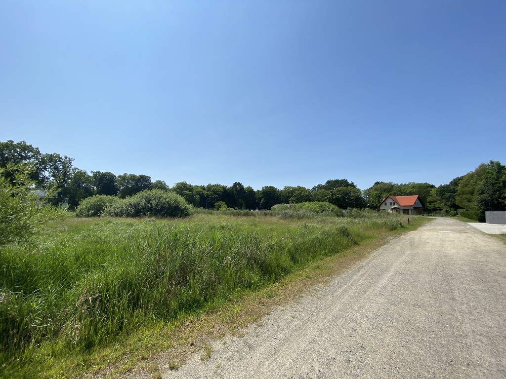 Działka w pobliżu lasu (9)