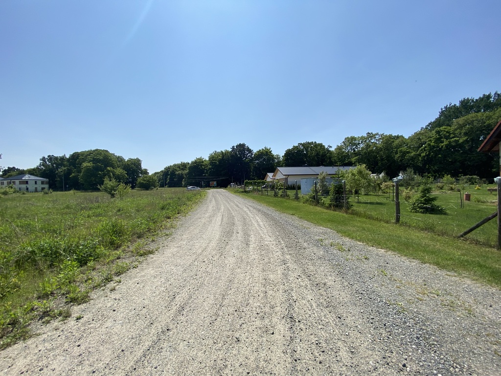 Działka w pobliżu lasu (2)