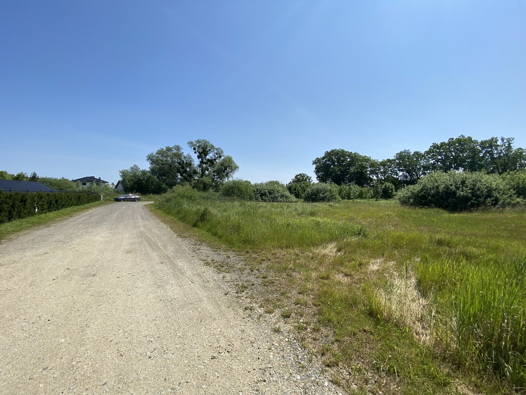 Działka w pobliżu lasu. (9)