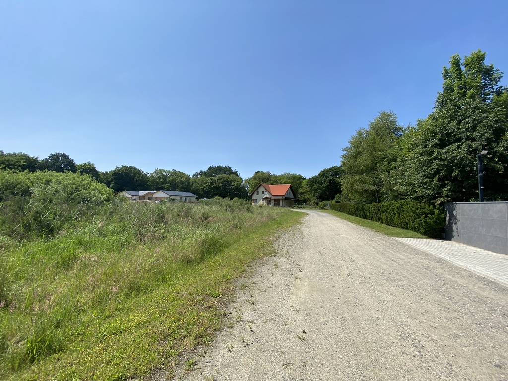 Działka w pobliżu lasu. (10)