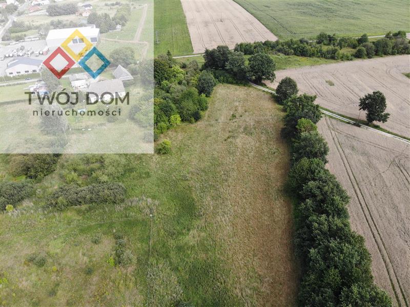 Działka - Stare Bielice  (5)