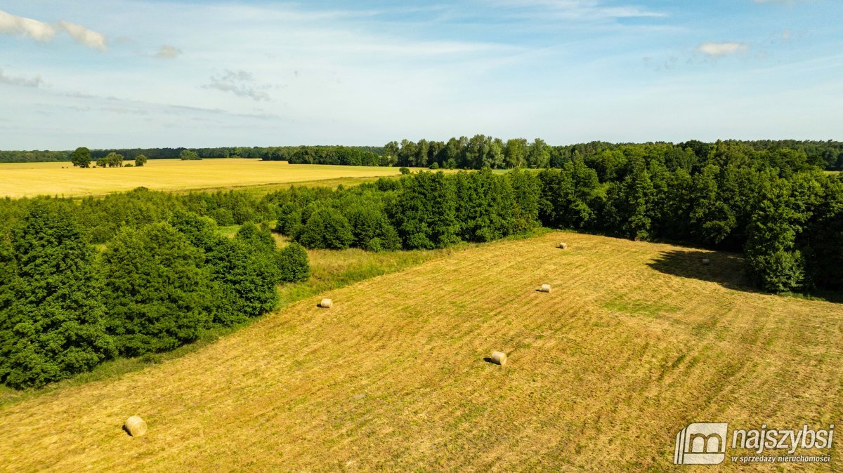 Bagna-działka rolna pod Maszewem (10)