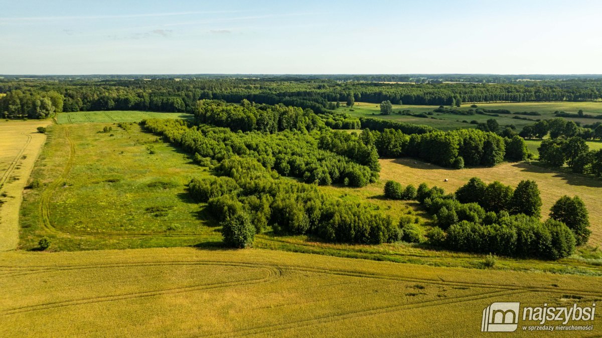 Bagna-działka rolna pod Maszewem (2)