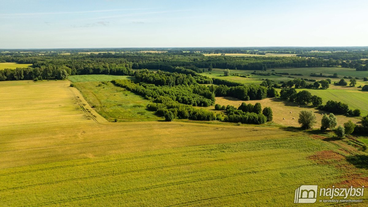 Bagna-działka rolna pod Maszewem (3)