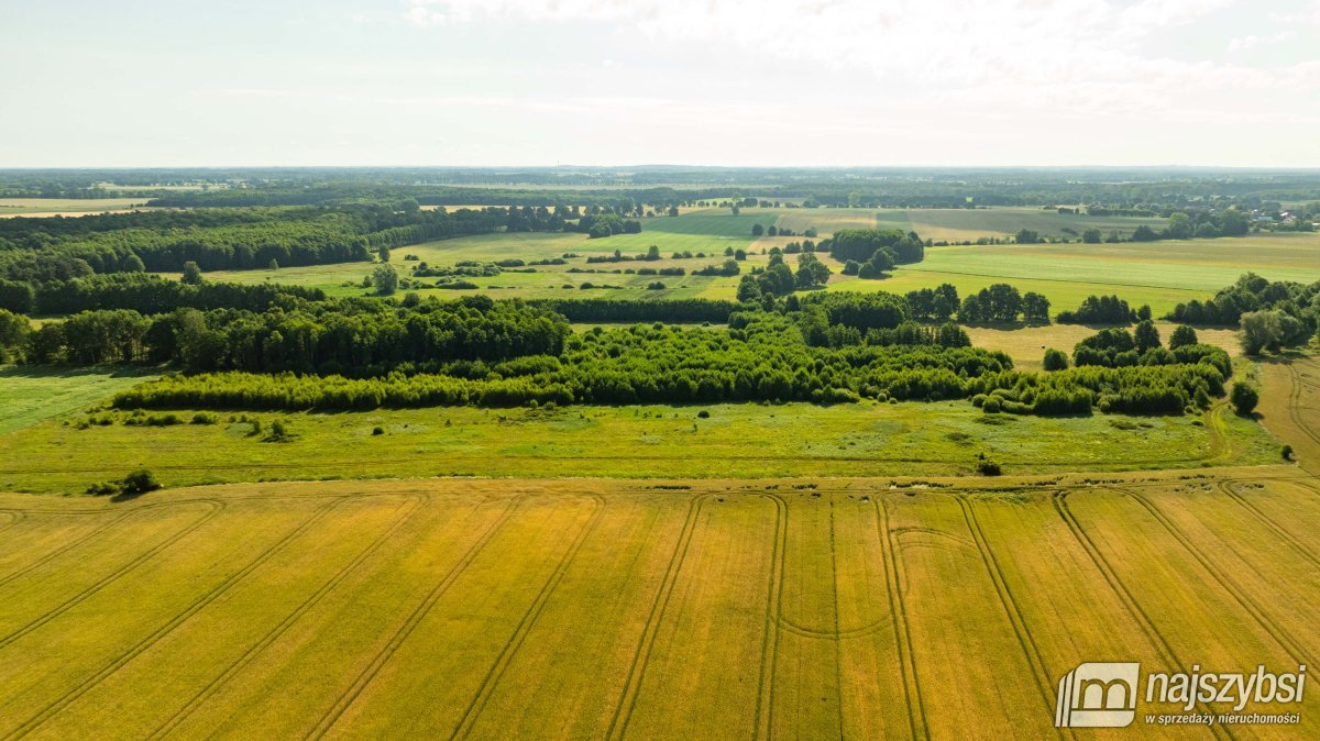 Bagna-działka rolna pod Maszewem (4)