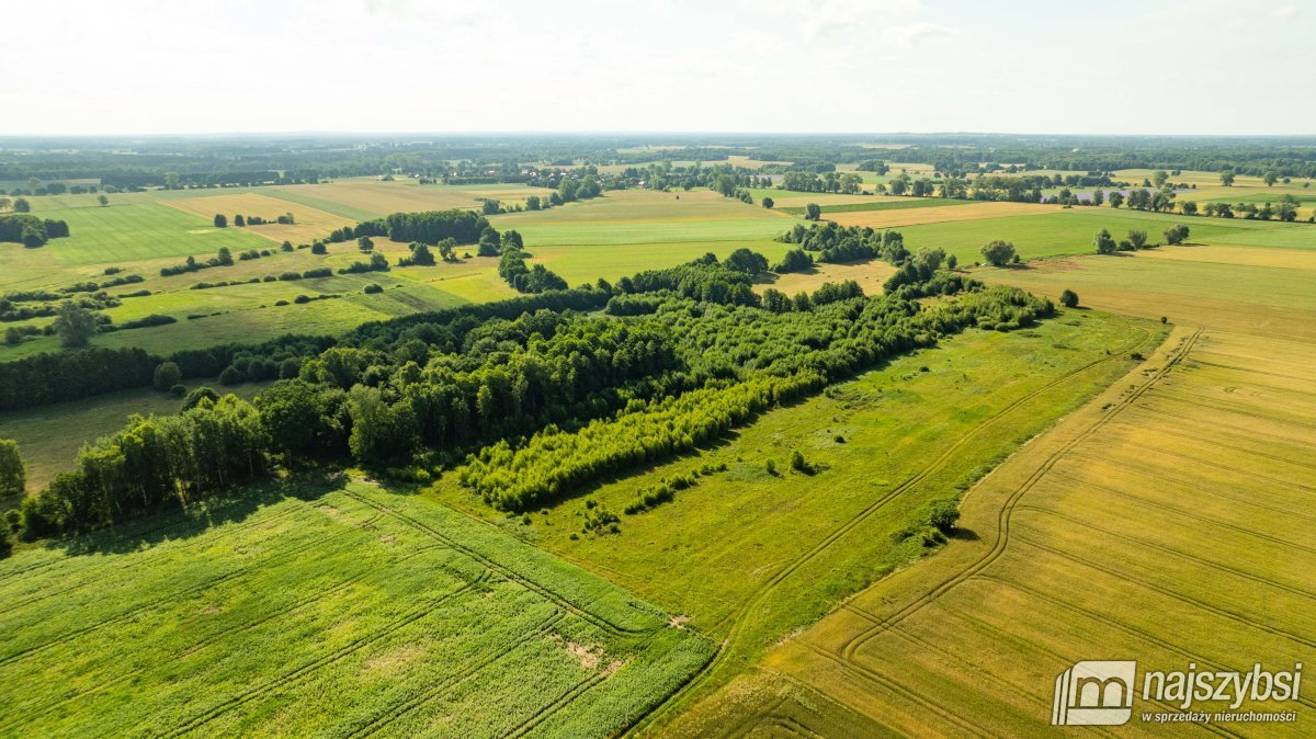 Bagna-działka rolna pod Maszewem (5)