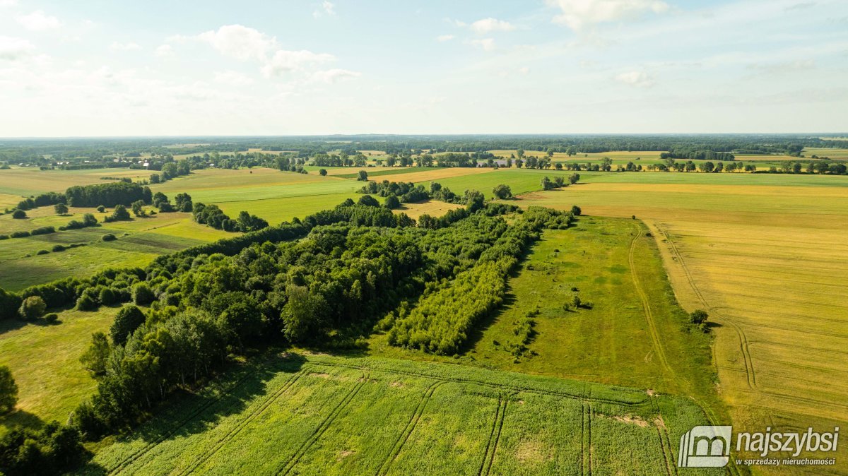 Bagna-działka rolna pod Maszewem (6)