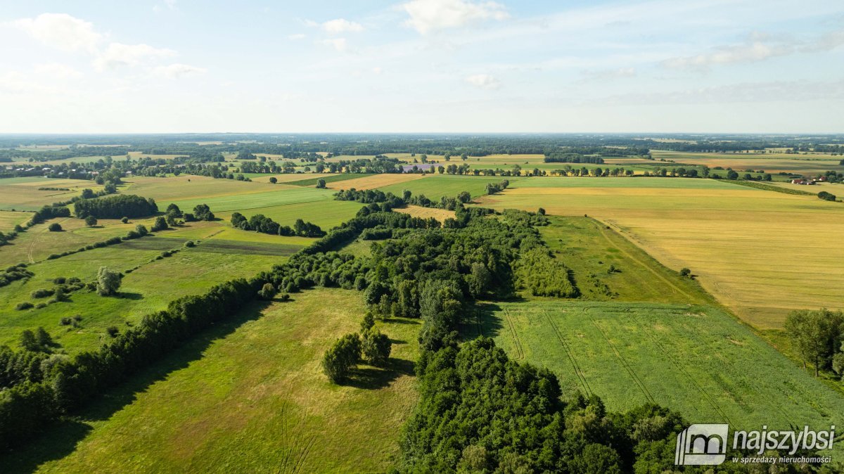 Bagna-działka rolna pod Maszewem (7)