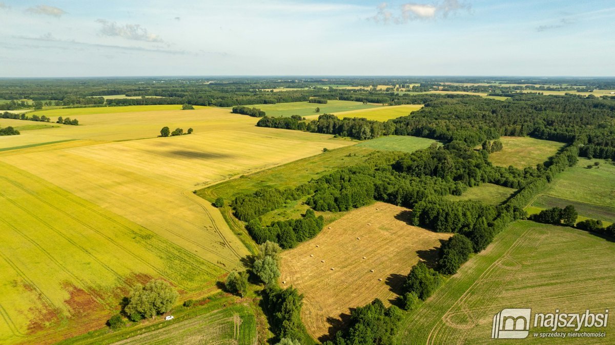Bagna-działka rolna pod Maszewem (8)
