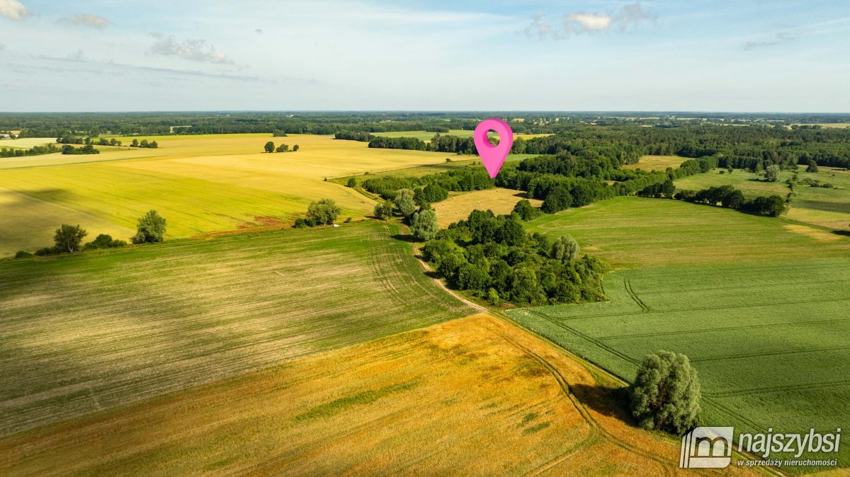 Bagna-działka rolna pod Maszewem (9)