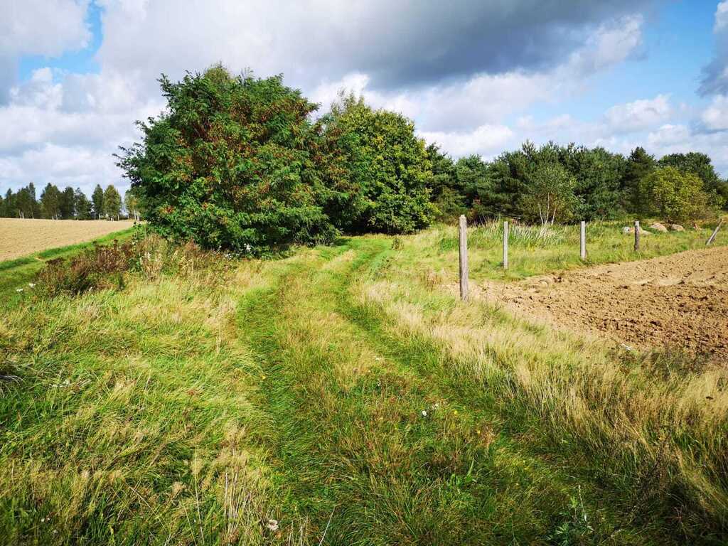 Świeszewo,gm.Gryfice,1.8458ha,Decyzja wz,pod dom. (3)