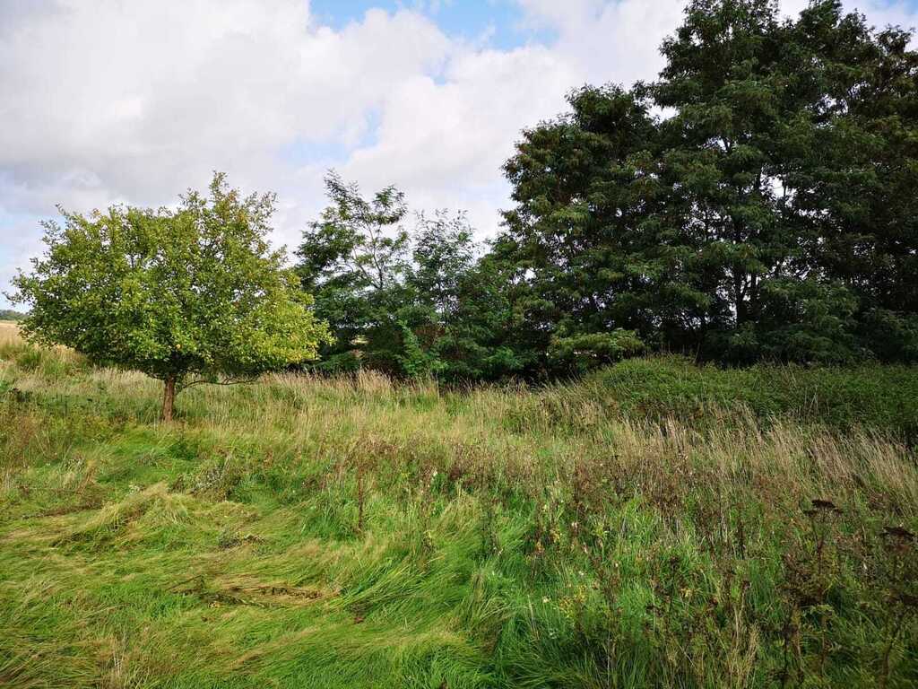 Świeszewo,gm.Gryfice,1.8458ha,Decyzja wz,pod dom. (2)