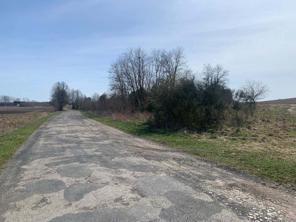 Świeszewo,gm.Gryfice,1.8458ha,Decyzja wz,pod dom. (14)