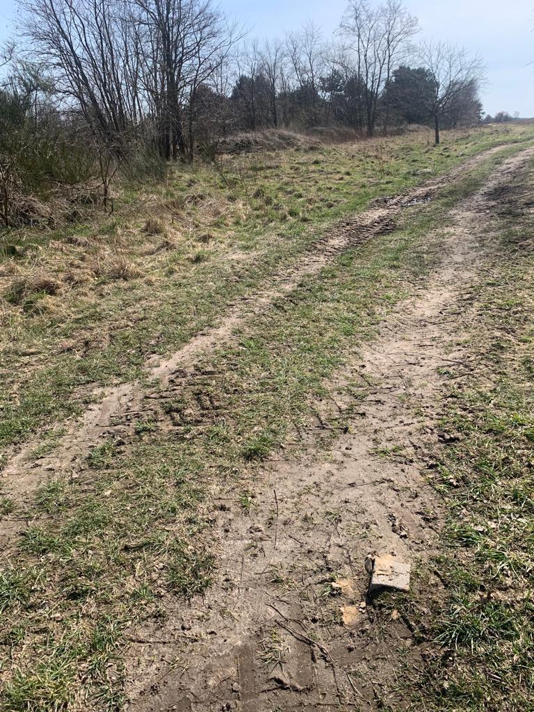 Świeszewo,gm.Gryfice,1.8458ha,Decyzja wz,pod dom. (15)