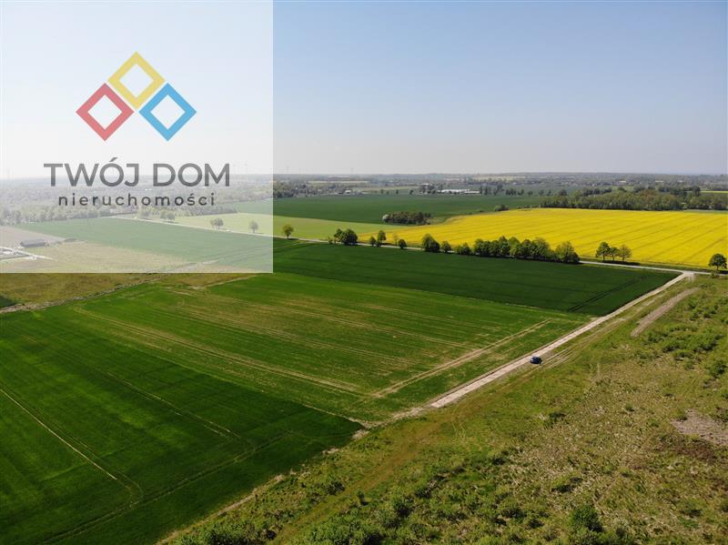 Działka - Śmiechów  (4)