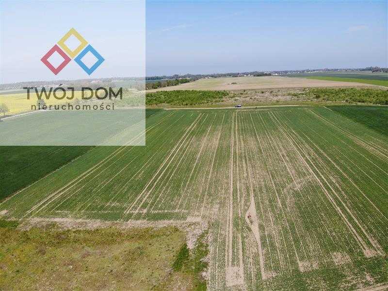 Działka - Śmiechów  (5)