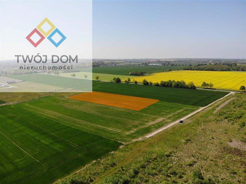 Działka - Śmiechów  (3)