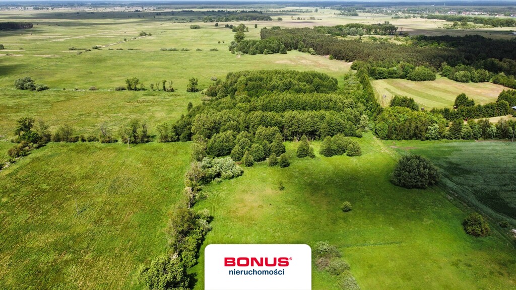 Pucice | Działka budowlana 3823 m2 | 3 domy (2)