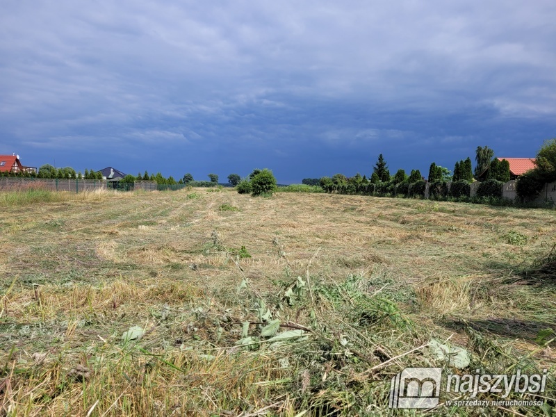 Lubczyna-900 m do Jeziora Dąbie . (10)