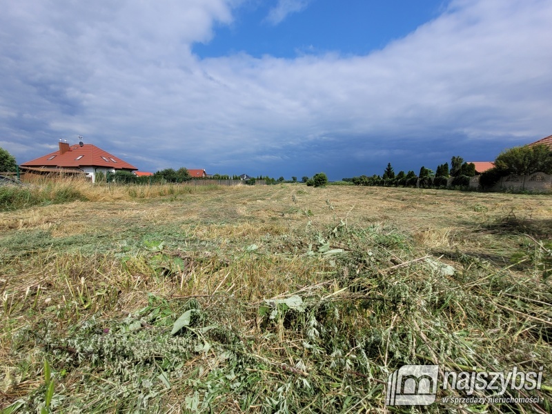 Lubczyna-900 m do Jeziora Dąbie . (12)