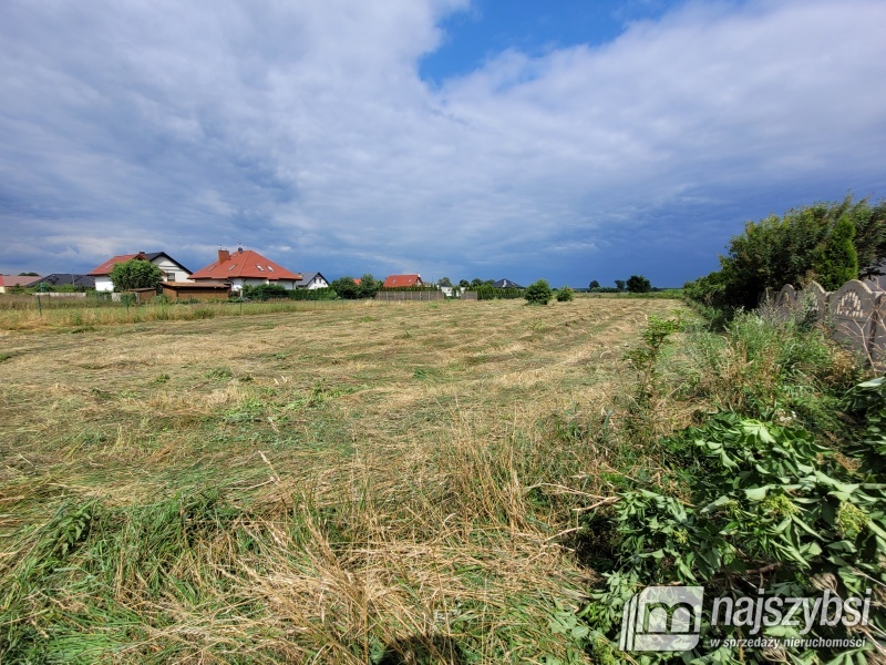 Lubczyna-900 m do Jeziora Dąbie . (3)