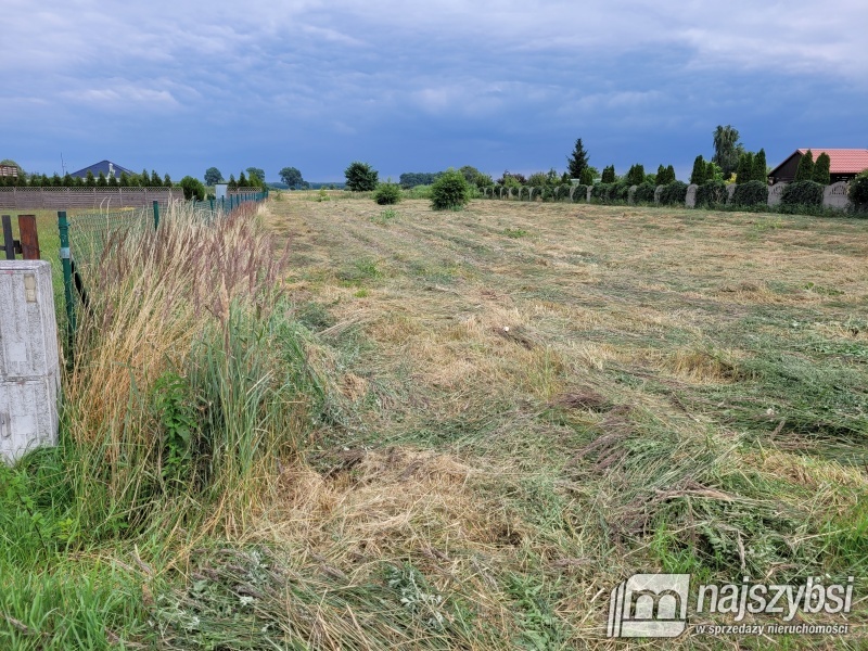 Lubczyna-900 m do Jeziora Dąbie . (7)