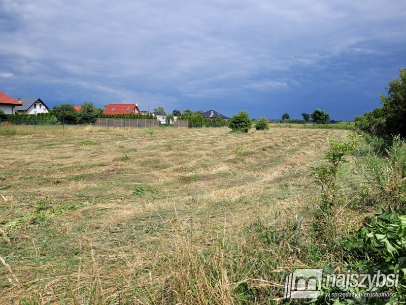 Lubczyna-900 m do Jeziora Dąbie . (9)