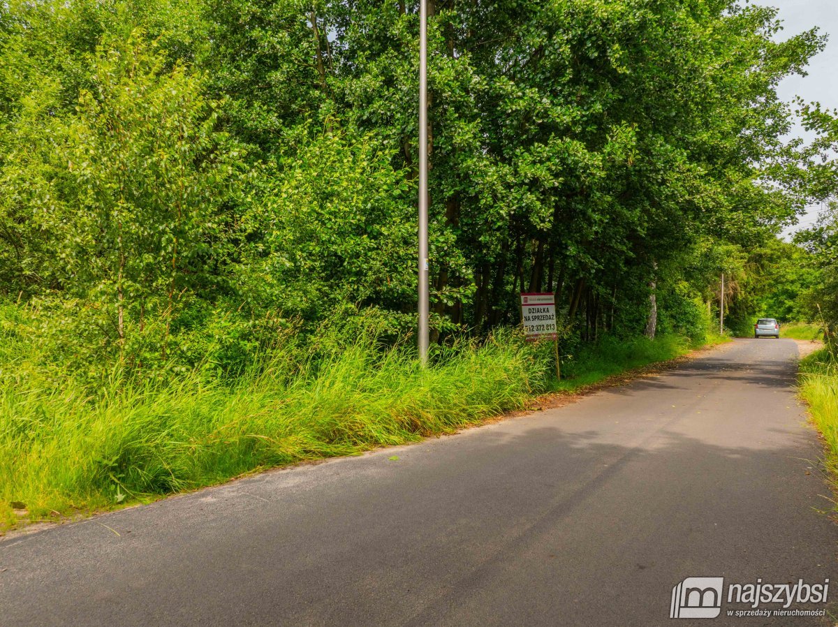 Zieleniewo – Działka blisko jeziora Miedwie (4)