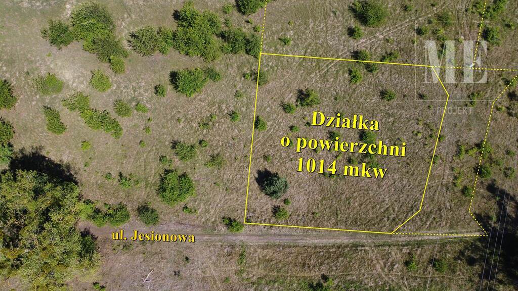 Działka pod budowę Rurzyca - las, nowa zabudowa (1)