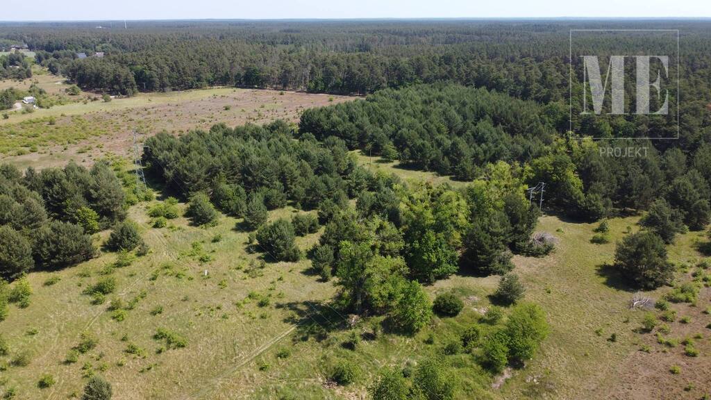 Działka pod budowę Rurzyca - las, nowa zabudowa (8)